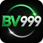 bv999